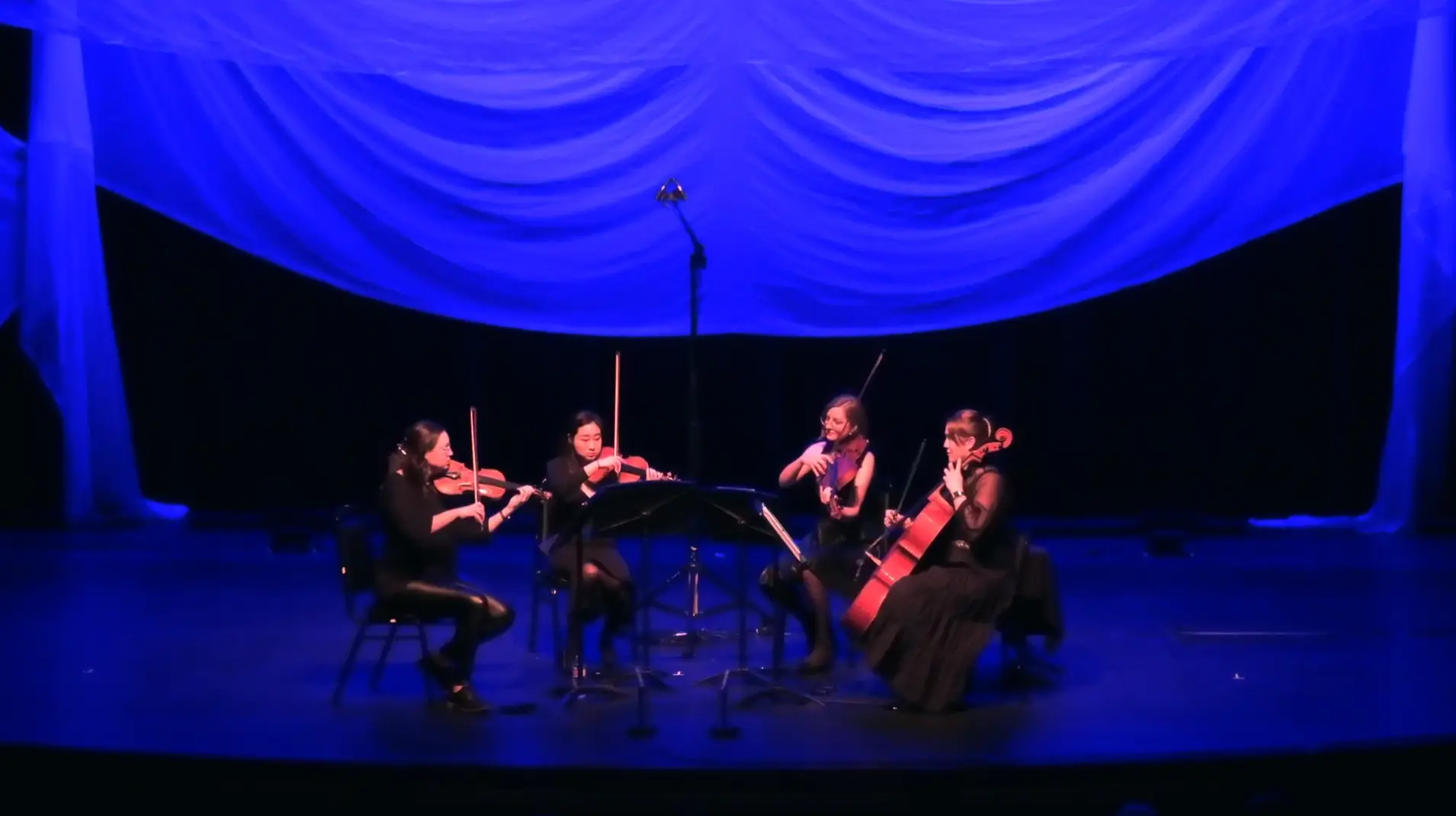 Blackbird The Beatles