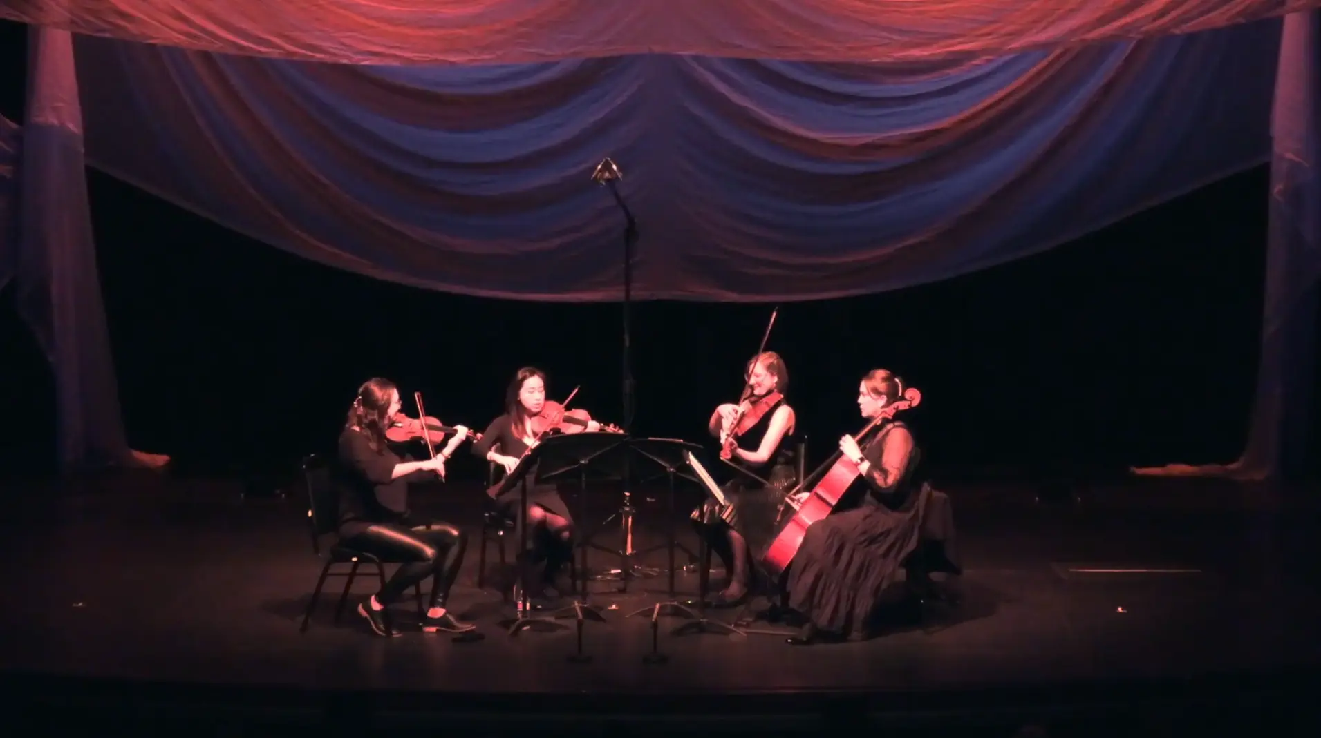 The Swan Le Cygne Saint Saens